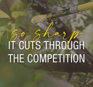 Bow saws pros and cons blog_South Africa lasher hand tools