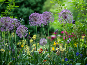 Saving Every Drop: Tools And Tips For Water-Wise Gardening 3 south african water wise gardening techniques